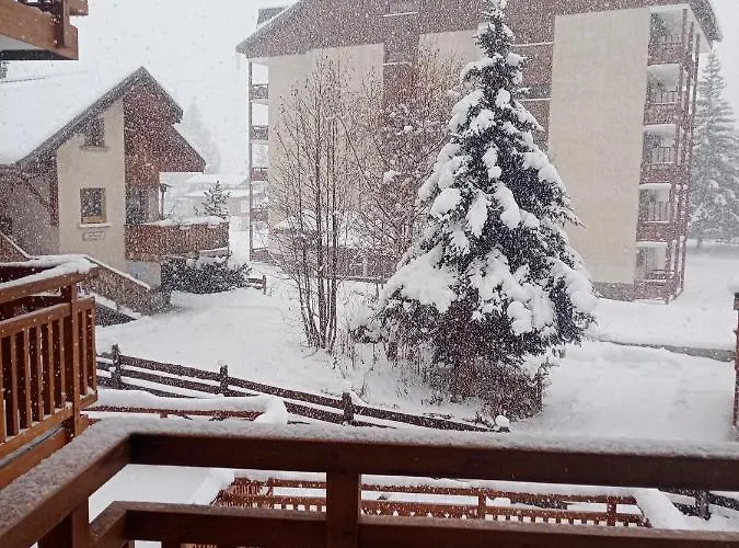 Ma Muzelle Daire Les Deux Alpes